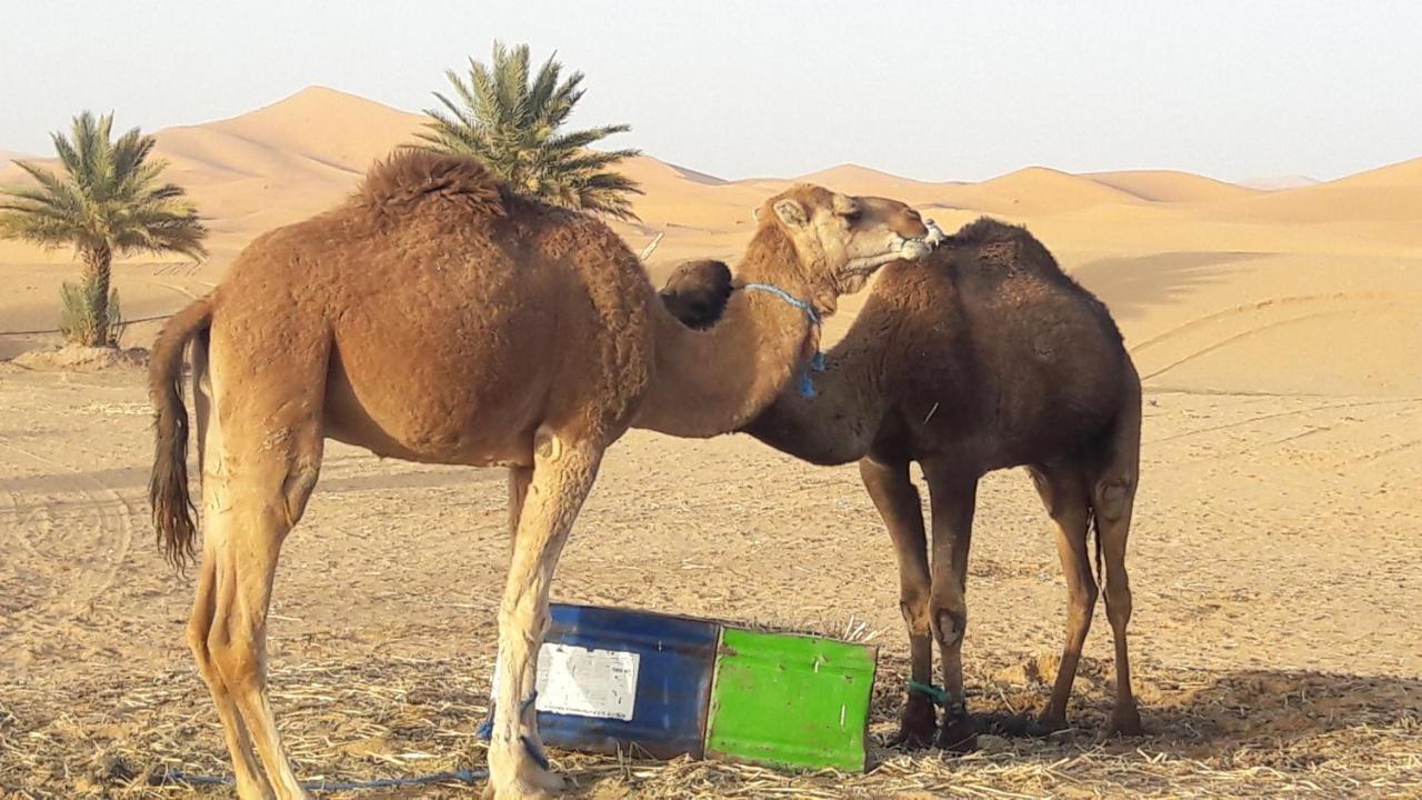 Fabulous Luxury Camp Hotel Merzouga Exterior photo